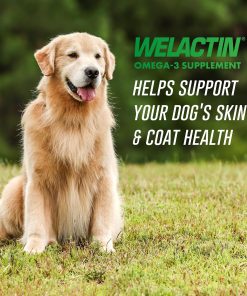 Nutramax Welactin Omega 3 Fish Oil for Dogs,Skin and Coat Health Supplement,Plus Joint,Immune,Kidney,and Brain Support,Premium Omega 3 Fatty Acids,for Dogs,16 Ounce Liquid,(Pack...