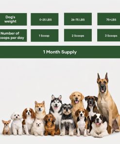 NutriFlo 10-in-1 Dog Multivitamin + Muscle Formula | Glucosamine, Green Lipped Mussel & Shilajit | Hip & Joint, Gut & Muscle Support | for All Dog Breeds