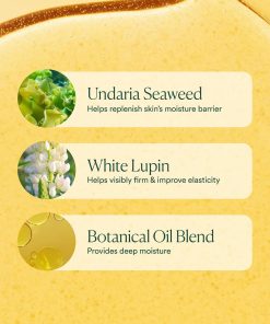 OSEA Undaria Algae Body Oil, Visibly Firming, Deeply Moisturizing, 5 oz-Bitadi