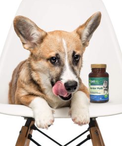 PetNC Senior Multi Chewables for Dogs, Daily Vitamins, 60 Count