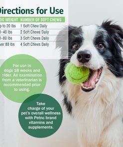 PetNC Skin & Coat Soft Chews for Dogs with Omega-3, 60 Count