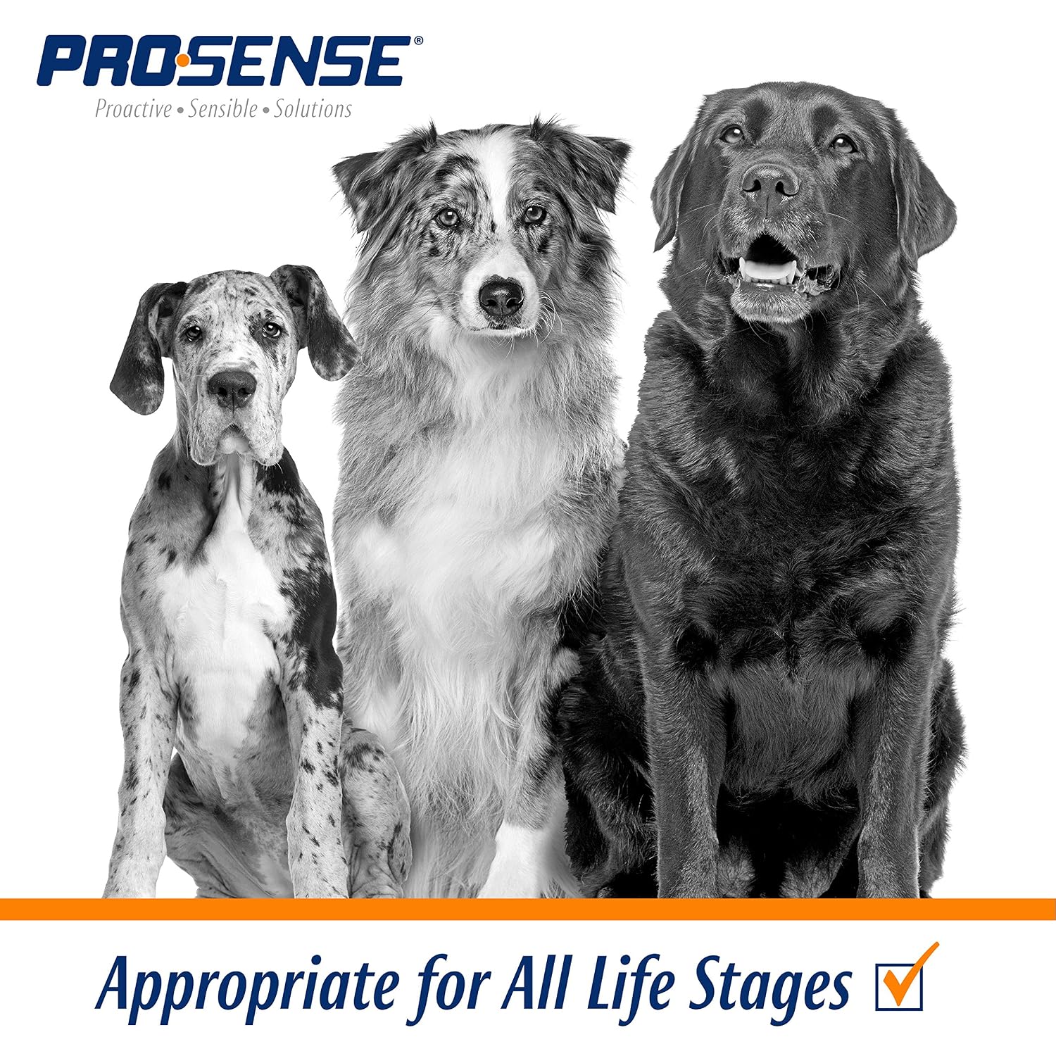 PRO·SENSE Vitamin Solutions, Chewable Tablets for Dogs, Helps Support Overall Wellness, 90 Count (Pack of 3) 14 PRO·SENSE Vitamin Solutions, Chewable Tablets for Dogs, Helps Support Overall Wellness, 90 Count (Pack of 3)