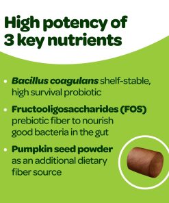 Probiotic Chews for Dogs Gut Health | Tasty Pre and Probiotics for Dogs Digestive Health with Pumpkin Dog Probiotics and Digestive Enzymes | NASC Certified & Made in The USA |...
