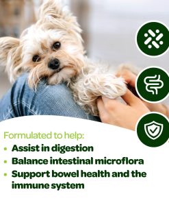 Probiotic Chews for Dogs Gut Health | Tasty Pre and Probiotics for Dogs Digestive Health with Pumpkin Dog Probiotics and Digestive Enzymes | NASC Certified & Made in The USA |...