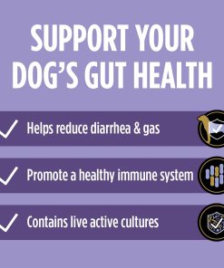Purina Pro Plan Veterinary Supplements FortiFlora Daily Probiotics for Dogs,Helps Digestive Gut Health and Diarrhea - 30 ct. Box,(Pack of 2)