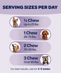 Ready Pet Go! Omega 3 + Calming Chews for Dogs | Helps with Dog Anxiety, Separation & Barking | Fish Oil for Dog Shedding, Skin Allergy, Itch Relief | 90 Chews Each