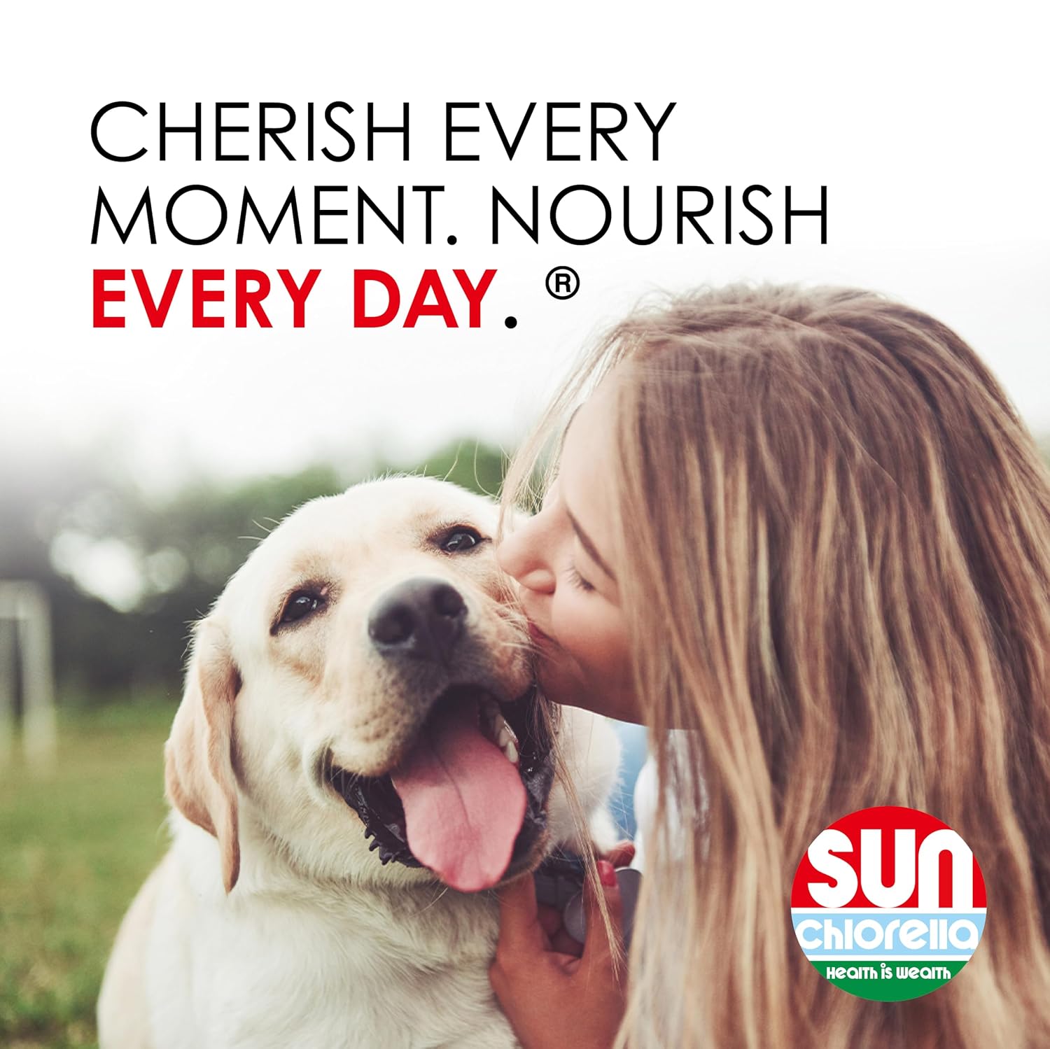 Sun Chlorella Pet Treats, Chlorella & Eleuthero Daily Supplement, 120 Bites 13 Sun Chlorella Pet Treats, Chlorella & Eleuthero Daily Supplement, 120 Bites