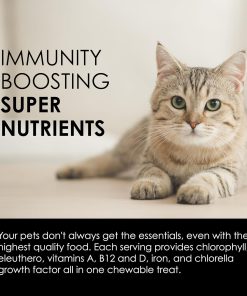 Sun Chlorella Pet Treats, Chlorella & Eleuthero Daily Supplement, 120 Bites 24 Sun Chlorella Pet Treats, Chlorella & Eleuthero Daily Supplement, 120 Bites