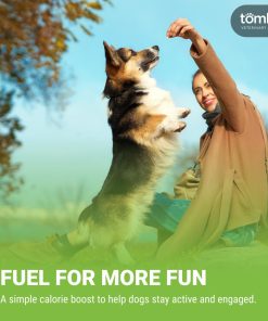 Tomlyn Nutri-Cal Malt-Flavored High-Calorie Nutritional Gel for Dogs, 4.25oz