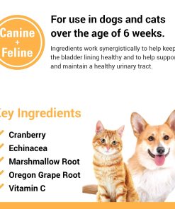 Vet Classics Cranberry Urinary Tract Supplement for Dogs & Cats - 65 Ct