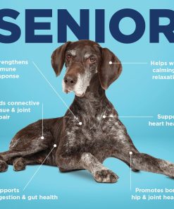 Vetericyn All-in 1 Multifunctional Senior Dog Supplement | Digestive Enzymes + Glucosamine Chondroitin for Hip and Joint Support + Vitamins, Antioxidants, Prebiotics,...