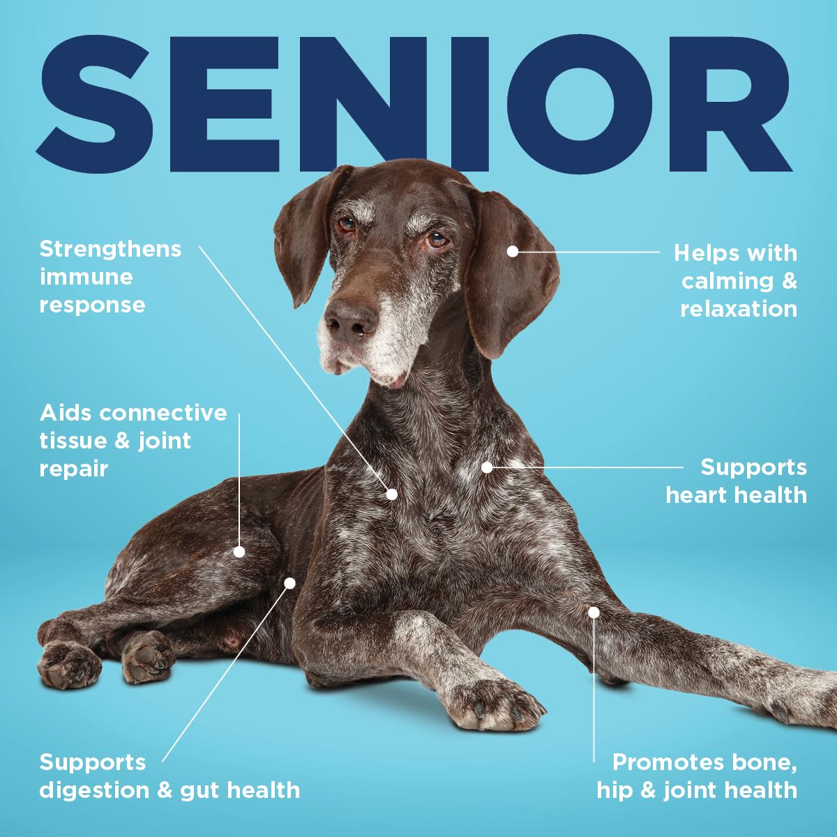 Vetericyn All-in 1 Multifunctional Senior Dog Supplement | Digestive Enzymes + Glucosamine Chondroitin for Hip and Joint Support + Vitamins, Antioxidants, Prebiotics,... 12 Vetericyn All-in 1 Multifunctional Senior Dog Supplement | Digestive Enzymes + Glucosamine Chondroitin for Hip and Joint Support + Vitamins, Antioxidants, Prebiotics,...