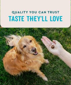 VetIQ Glucosamine Hip & Joint Supplement for Dogs, 180 Soft Chews + VetIQ Multivitamin Supplement for Dogs, 60 Count, Dog Supplements Made in The USA