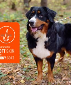 VetIQ Skin and Coat Supplement for Dogs, Helps Maintain Healthy Skin and Shiny Coat, Hickory Smoke Flavor Dog Chew, Made in The USA, 60 Count (Pack of 2)