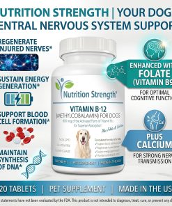 Vitamin B12 for Dogs Plus Folate & Calcium, Support the Nervous System & Blood Cell Formation, Help Sustain Cellular Energy Generation & Maintain DNA Synthesis, 120 Chewable...