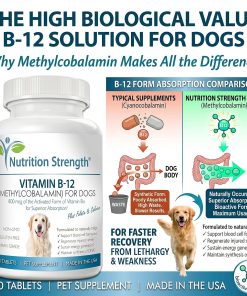 Vitamin B12 for Dogs Plus Folate & Calcium, Support the Nervous System & Blood Cell Formation, Help Sustain Cellular Energy Generation & Maintain DNA Synthesis, 120 Chewable...