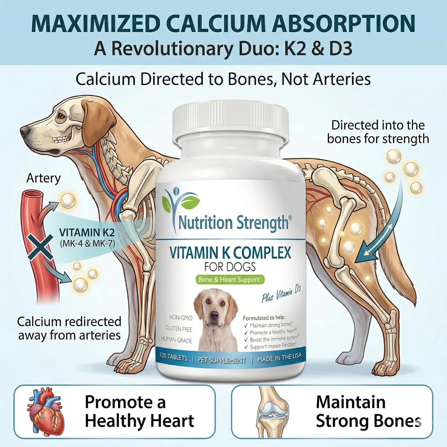 Vitamin K for Dogs | K1 & K2 (MK4 + MK7) + Vitamin D3 12 Vitamin K for Dogs | K1 & K2 (MK4 + MK7) + Vitamin D3