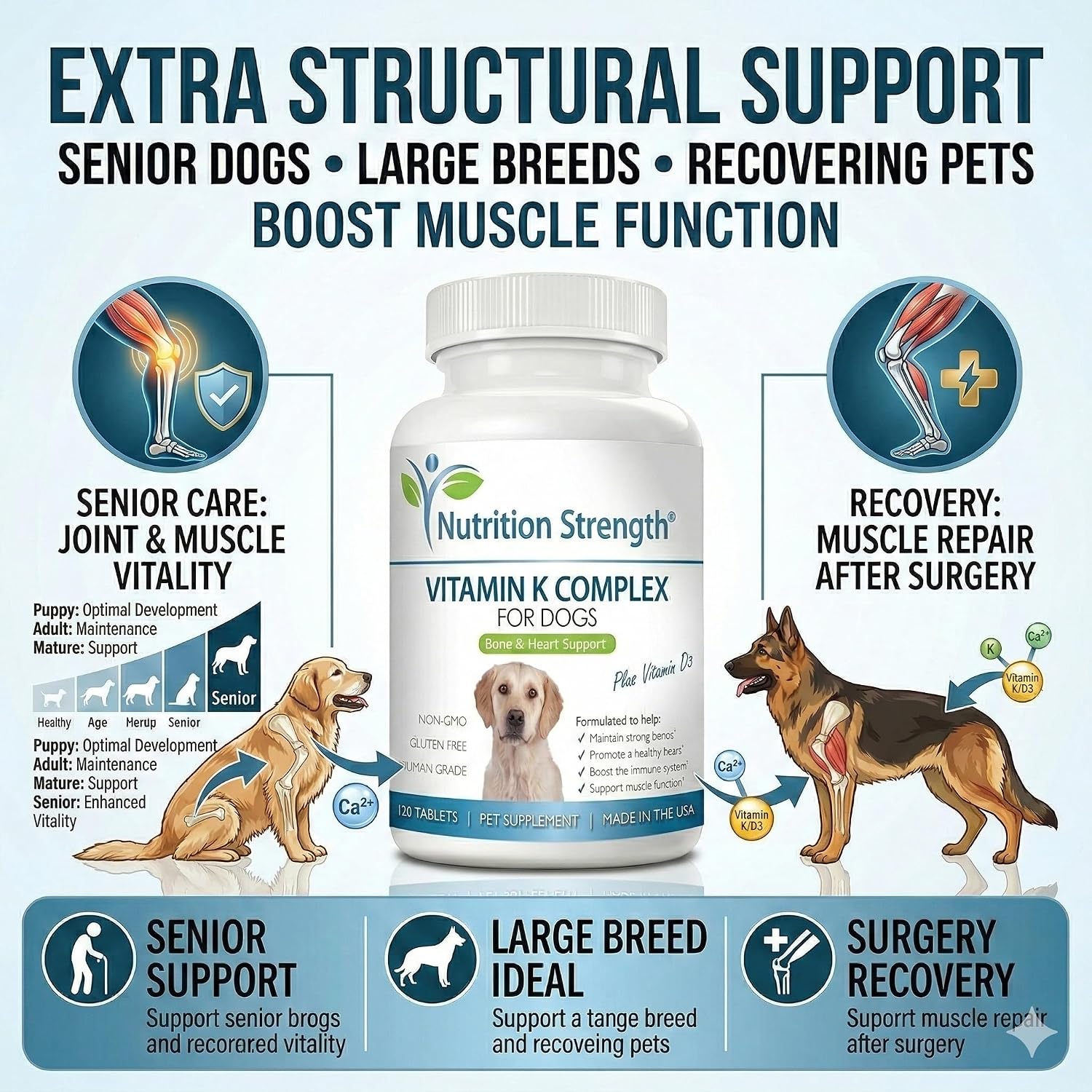Vitamin K for Dogs | K1 & K2 (MK4 + MK7) + Vitamin D3 13 Vitamin K for Dogs | K1 & K2 (MK4 + MK7) + Vitamin D3