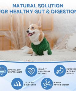 WEALLIN Dog Vitamins & Dog Probiotic Chews