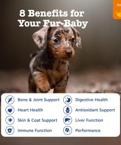 Zesty Paws Dog Multivitamin, Chewable Dog Vitamins and Supplements for Hip & Joints, Skin & Coat, Omega 3 Fish Oil for Dogs- Puppy Multivitamin - Chicken Puppy Bites- 90ct (Pack...