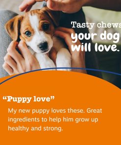 Zesty Paws Dog Multivitamin, Chewable Dog Vitamins and Supplements for Hip & Joints, Skin & Coat, Omega 3 Fish Oil for Dogs- Puppy Multivitamin - Chicken Puppy Bites- 90ct (Pack...