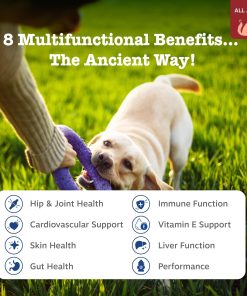Zesty Paws Dog Multivitamin, Chewable Dog Vitamins and Supplements for Hip & Joints, Skin & Coat, Omega 3 Fish Oil for Dogs- Senior & Puppy Multivitamin - Bison- 90ct (Pack of 2)