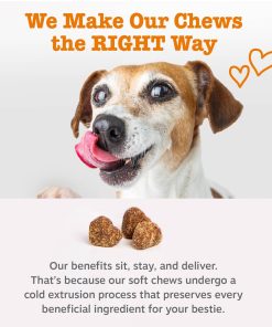 Zesty Paws Dog Multivitamin, Chewable Dog Vitamins and Supplements for Hip & Joints, Skin & Coat, Omega 3 Fish Oil for Dogs- Senior & Puppy Multivitamin - Chicken- 250ct (Pack...