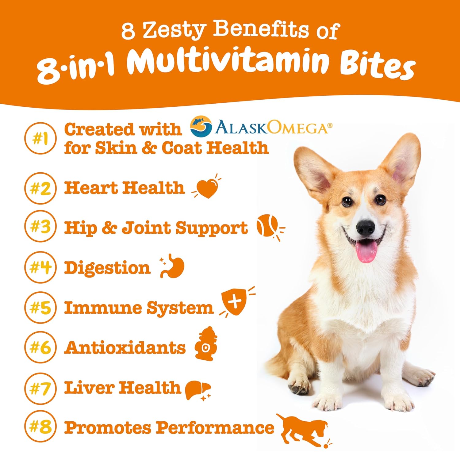 Zesty Paws Multivitamin Bites + Multivitamin Powder for Dogs 12 Zesty Paws Multivitamin Bites + Multivitamin Powder for Dogs