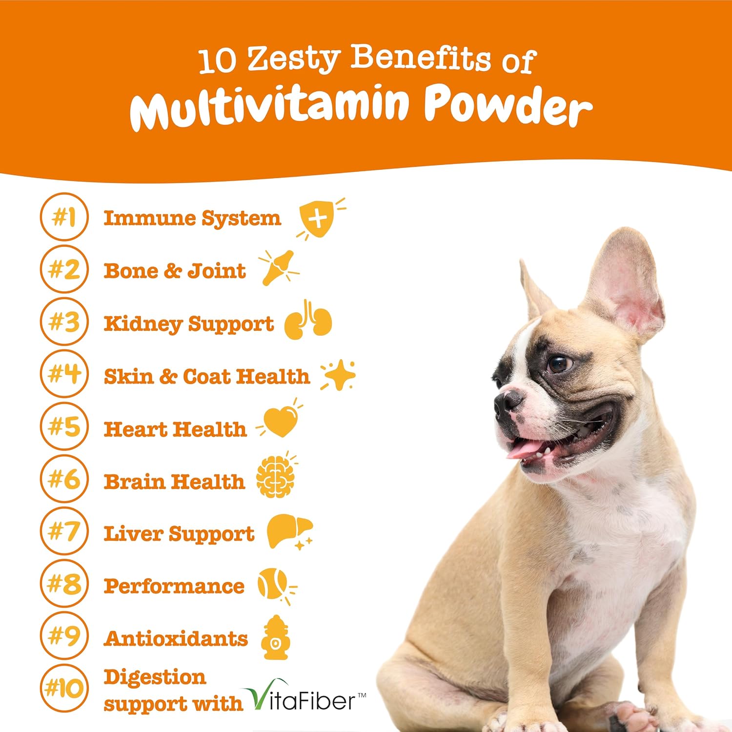 Zesty Paws Probiotic Bites Pumpkin + Multivitamin Powder for Dogs 15 Zesty Paws Probiotic Bites Pumpkin + Multivitamin Powder for Dogs