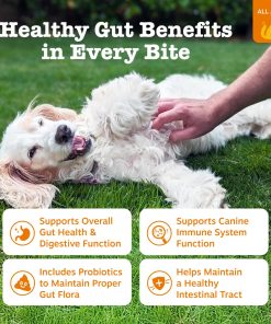 Zesty Paws Probiotics for Dogs, Digestive Enzymes Gut Flora, Digestive Health, Diarrhea & Bowel Support, DE111, Dog Probiotics Soft Chew for Pet Immune System, Chicken, 90 Ct...