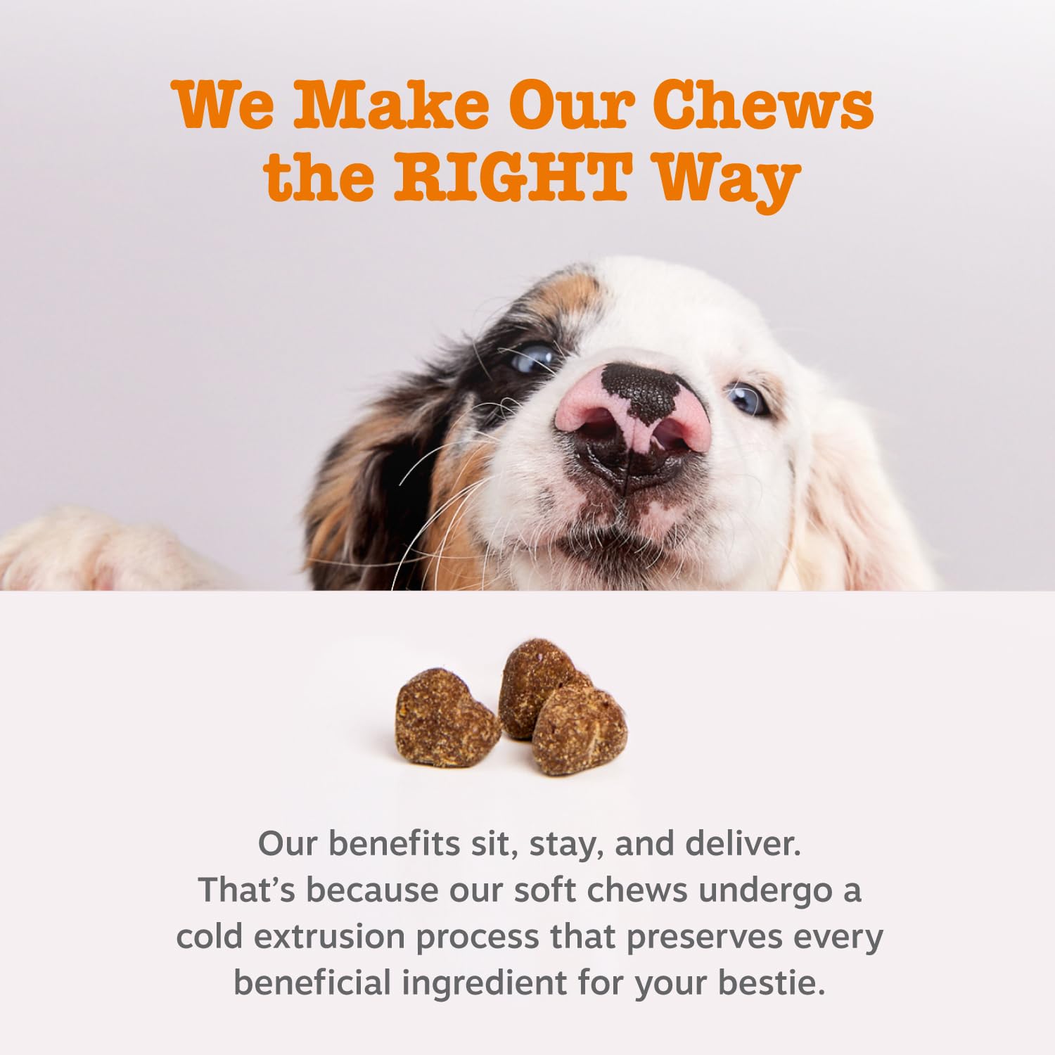 Zesty Paws Probiotics for Dogs, Digestive Enzymes Gut Flora, Digestive Health, Diarrhea & Bowel Support, DE111, Dog Probiotics Soft Chew for Pet Immune System, Chicken, 90 Ct... 17 Zesty Paws Probiotics for Dogs, Digestive Enzymes Gut Flora, Digestive Health, Diarrhea & Bowel Support, DE111, Dog Probiotics Soft Chew for Pet Immune System, Chicken, 90 Ct...