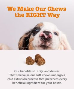 Zesty Paws Probiotics for Dogs, Digestive Enzymes Gut Flora, Digestive Health, Diarrhea & Bowel Support, DE111, Dog Probiotics Soft Chew for Pet Immune System, Chicken, 50 Ct...